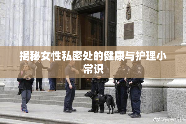 揭秘女性私密处的健康与护理小常识