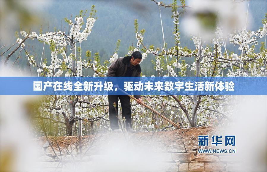 国产在线全新升级，驱动未来数字生活新体验