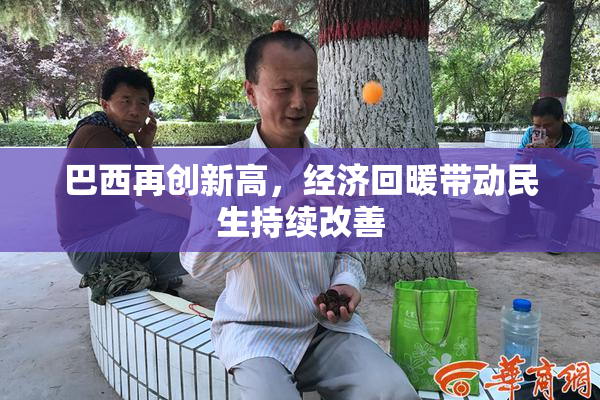 巴西再创新高，经济回暖带动民生持续改善