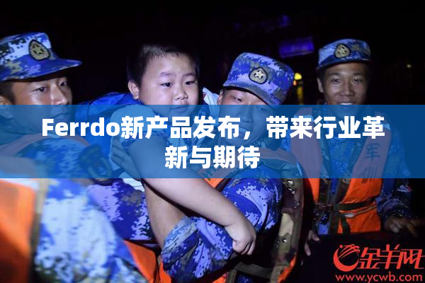 Ferrdo新产品发布，带来行业革新与期待