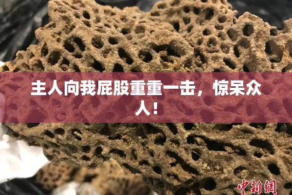 主人向我屁股重重一击，惊呆众人！