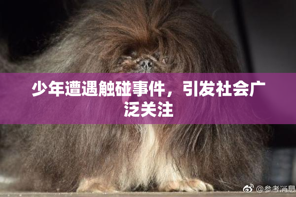 少年遭遇触碰事件，引发社会广泛关注