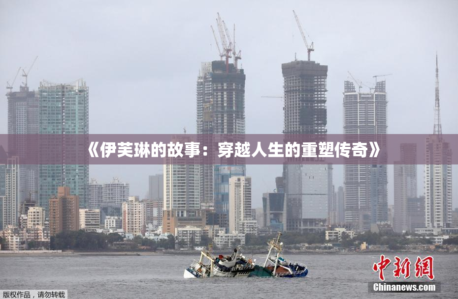 《伊芙琳的故事：穿越人生的重塑传奇》