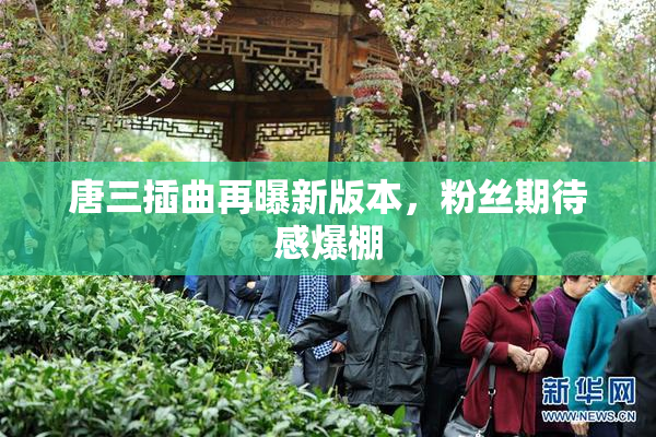 唐三插曲再曝新版本，粉丝期待感爆棚