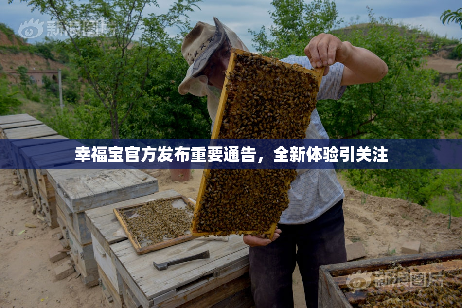 幸福宝官方发布重要通告，全新体验引关注