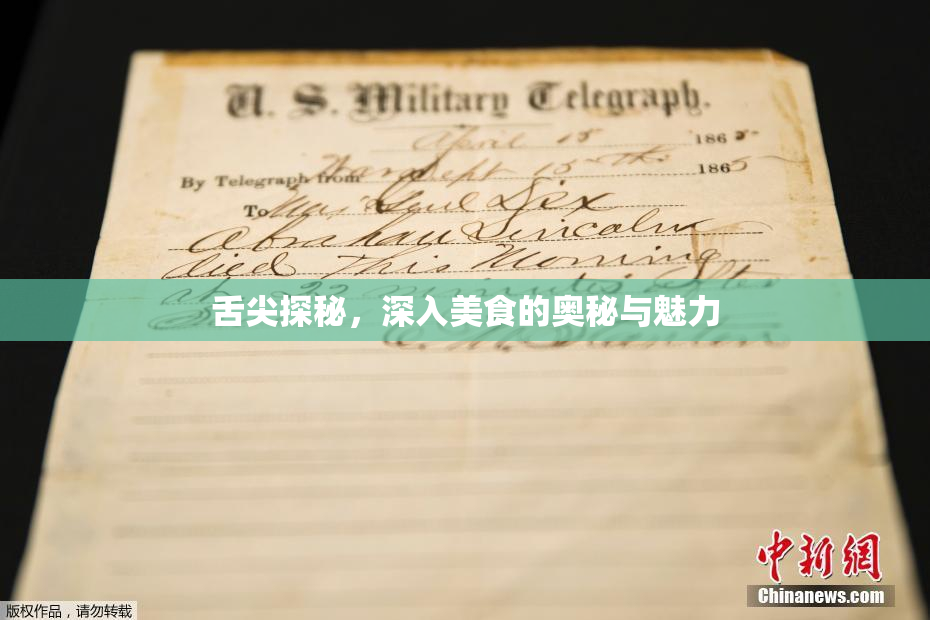 舌尖探秘，深入美食的奥秘与魅力