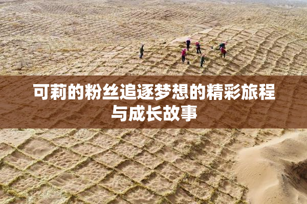 可莉的粉丝追逐梦想的精彩旅程与成长故事