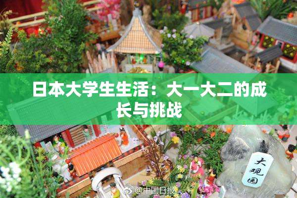 日本大学生生活：大一大二的成长与挑战