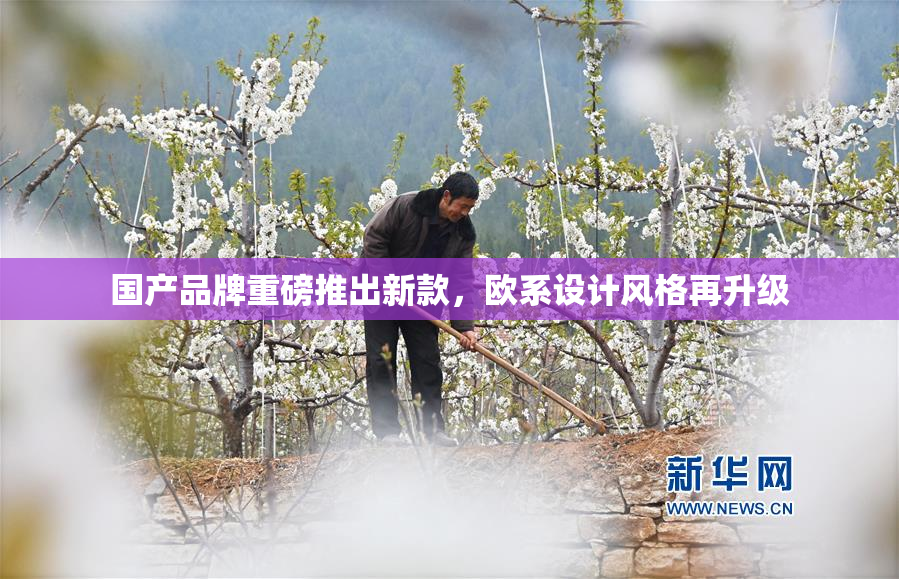 国产品牌重磅推出新款，欧系设计风格再升级