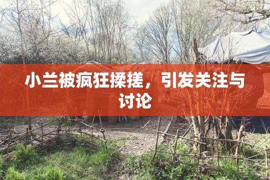 小兰被疯狂揉搓，引发关注与讨论