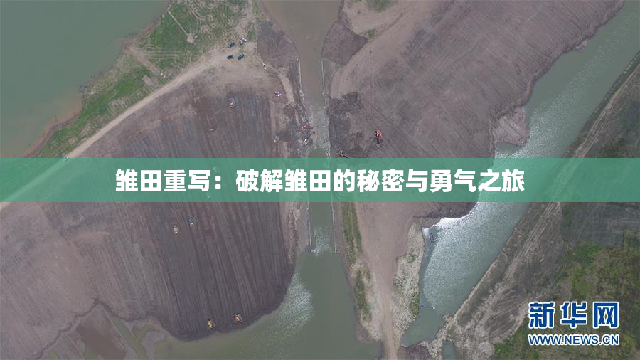 雏田重写：破解雏田的秘密与勇气之旅
