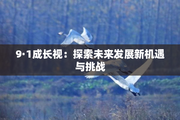 9·1成长视：探索未来发展新机遇与挑战