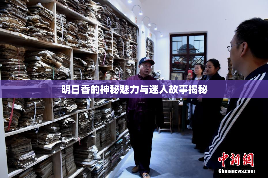 明日香的神秘魅力与迷人故事揭秘