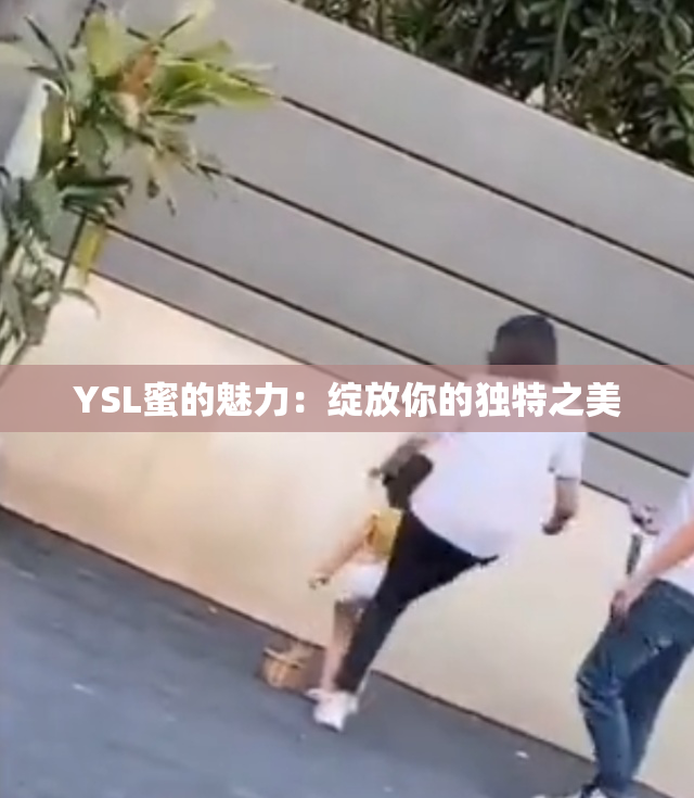 YSL蜜的魅力：绽放你的独特之美