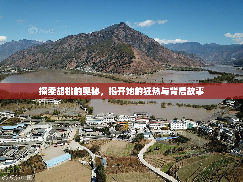探索胡桃的奥秘，揭开她的狂热与背后故事