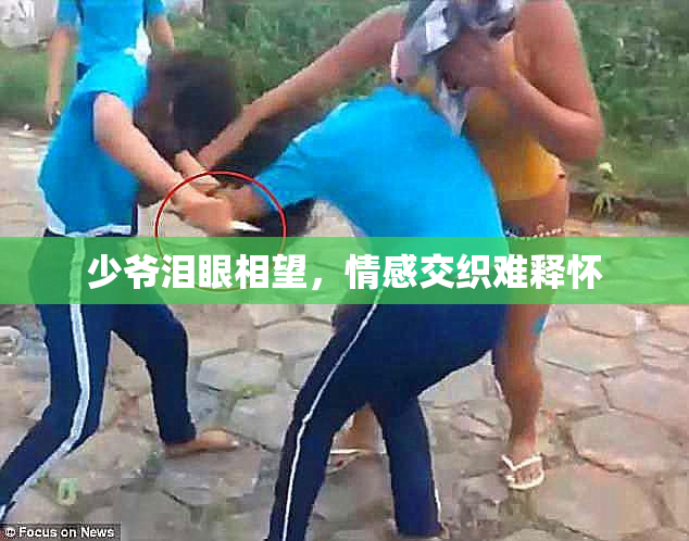 少爷泪眼相望，情感交织难释怀