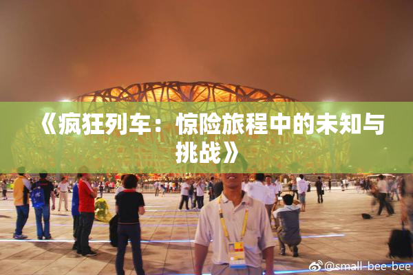 《疯狂列车：惊险旅程中的未知与挑战》
