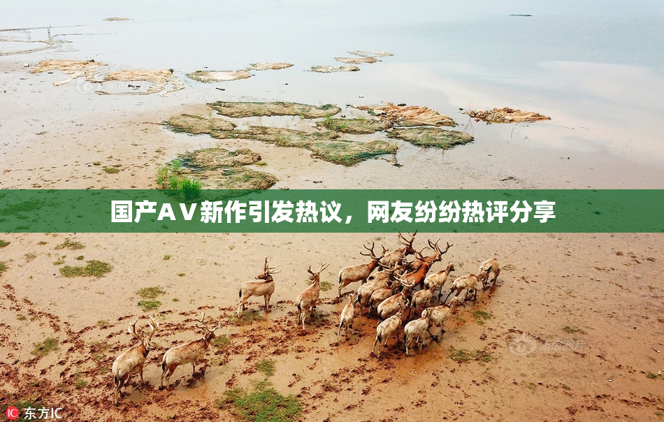 国产AⅤ新作引发热议，网友纷纷热评分享