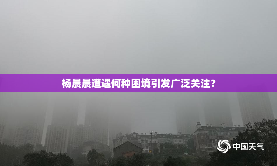 杨晨晨遭遇何种困境引发广泛关注？