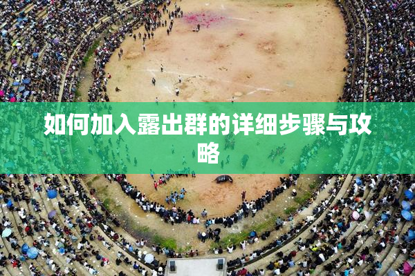 如何加入露出群的详细步骤与攻略