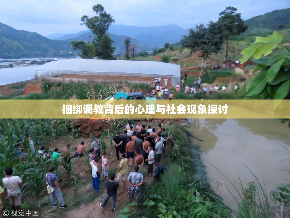 捆绑调教背后的心理与社会现象探讨
