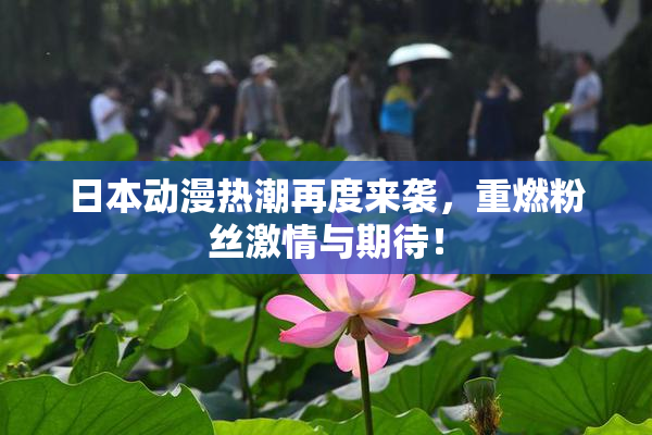 日本动漫热潮再度来袭，重燃粉丝激情与期待！