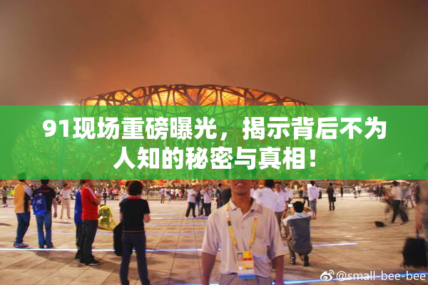91现场重磅曝光，揭示背后不为人知的秘密与真相！