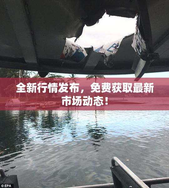 全新行情发布，免费获取最新市场动态！