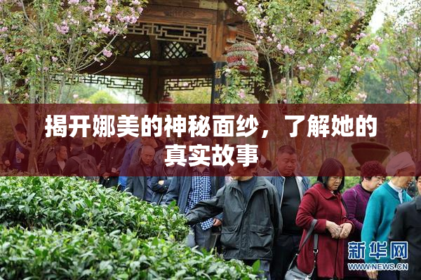 揭开娜美的神秘面纱，了解她的真实故事