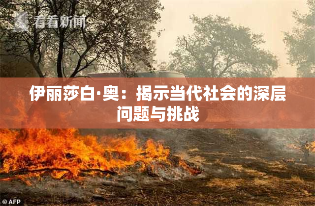 伊丽莎白·奥：揭示当代社会的深层问题与挑战
