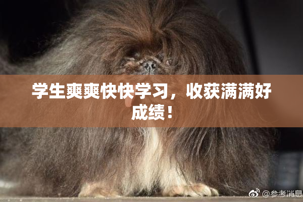 学生爽爽快快学习，收获满满好成绩！