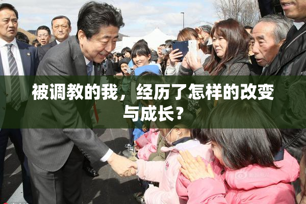 被调教的我，经历了怎样的改变与成长？