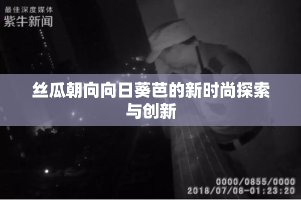 丝瓜朝向向日葵芭的新时尚探索与创新