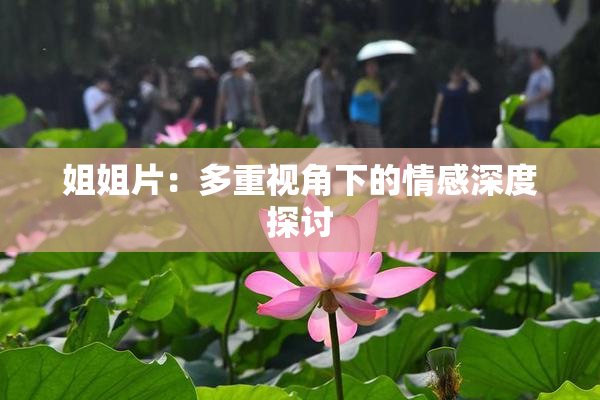 姐姐片：多重视角下的情感深度探讨