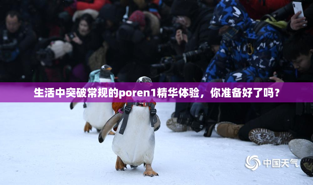 生活中突破常规的poren1精华体验，你准备好了吗？