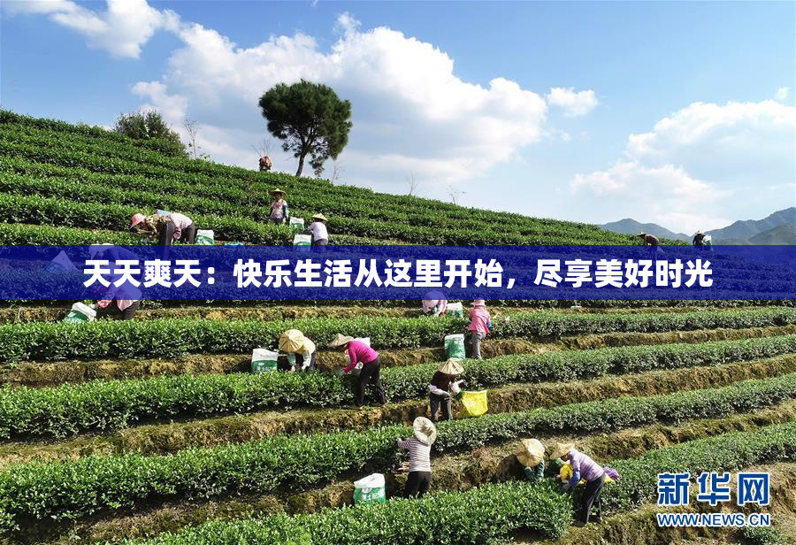天天爽天：快乐生活从这里开始，尽享美好时光