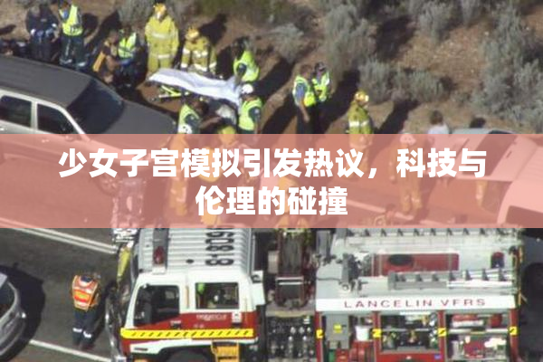 少女子宫模拟引发热议，科技与伦理的碰撞
