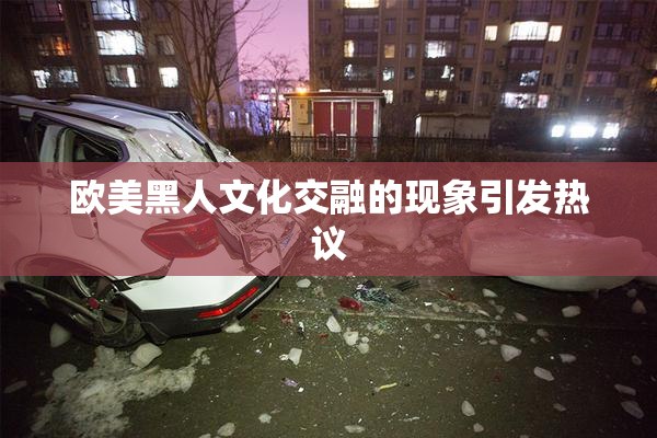 欧美黑人文化交融的现象引发热议
