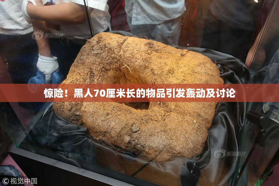 惊险！黑人70厘米长的物品引发轰动及讨论