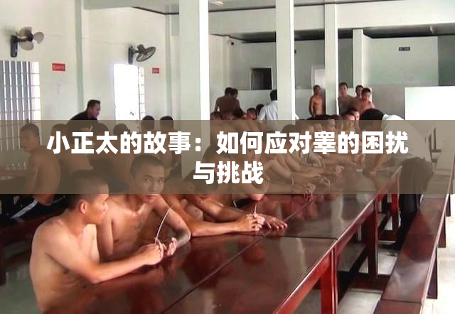 小正太的故事：如何应对睾的困扰与挑战