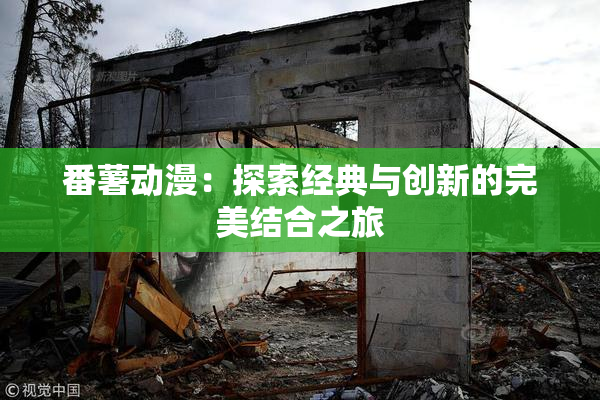 番薯动漫：探索经典与创新的完美结合之旅