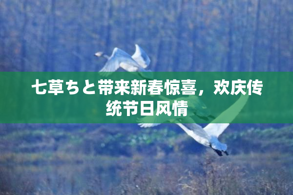 七草ちと带来新春惊喜，欢庆传统节日风情