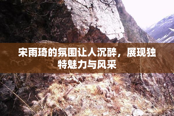 宋雨琦的氛围让人沉醉，展现独特魅力与风采