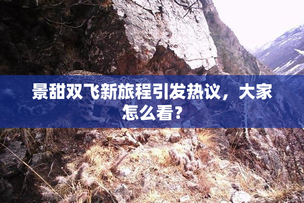 景甜双飞新旅程引发热议，大家怎么看？