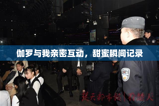 伽罗与我亲密互动，甜蜜瞬间记录