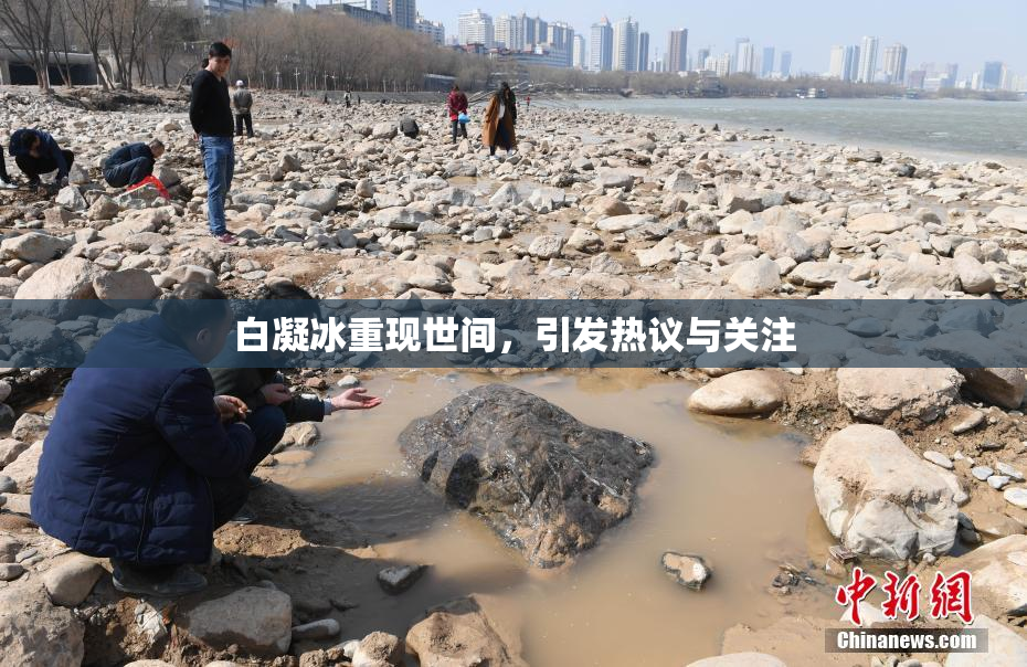 白凝冰重现世间，引发热议与关注