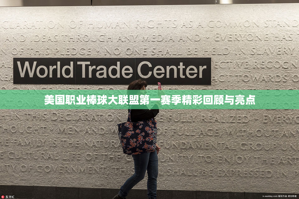 美国职业棒球大联盟第一赛季精彩回顾与亮点