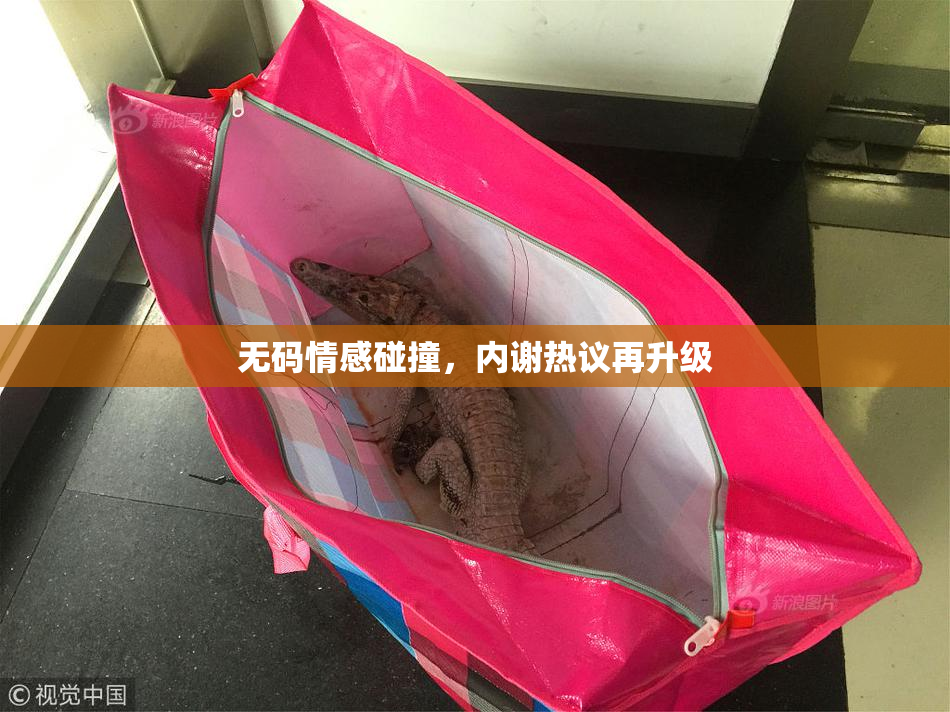 无码情感碰撞，内谢热议再升级