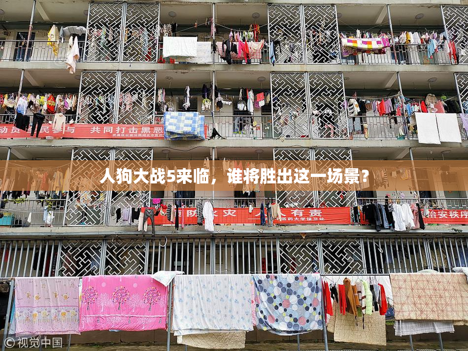 人狗大战5来临，谁将胜出这一场景？