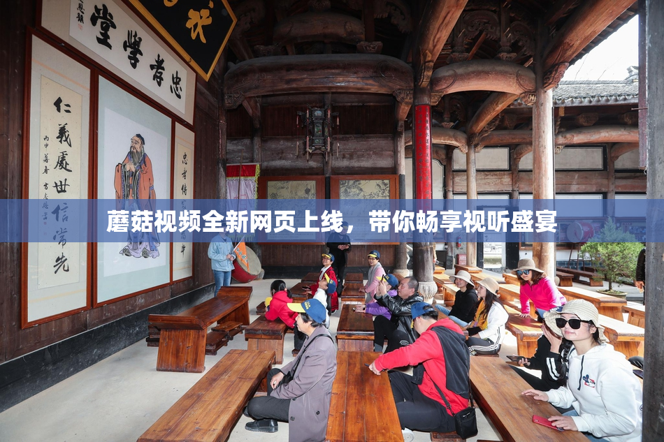 蘑菇视频全新网页上线，带你畅享视听盛宴